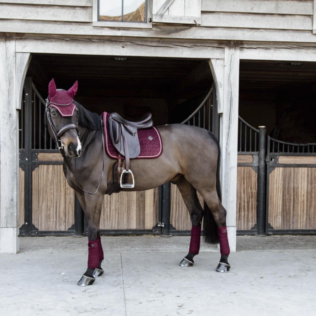 Tapis de selle & amortisseurs pour cheval | Terres & Eaux